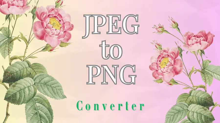 JPEG to PNG Converter